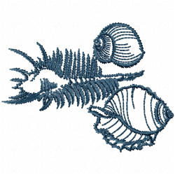 Seashell Embroidery Design 3
